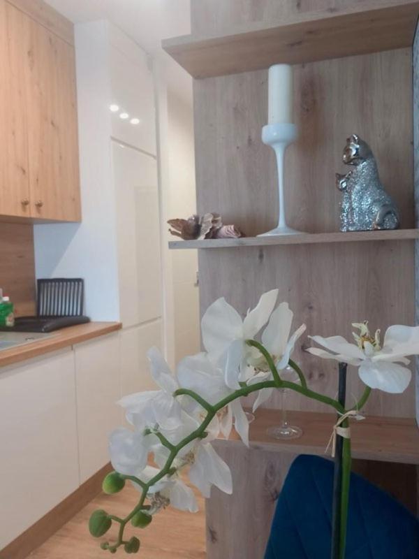 Apartamento Jaworska 4 *